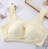 Plus Size Women Bra