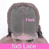 Body Wave HD Lace Frontal Brazilian Curly Hair Wigs